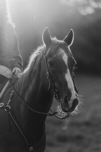 2023 Seafind Brand Ambassador – Emma & Bear | seafindphotography.com